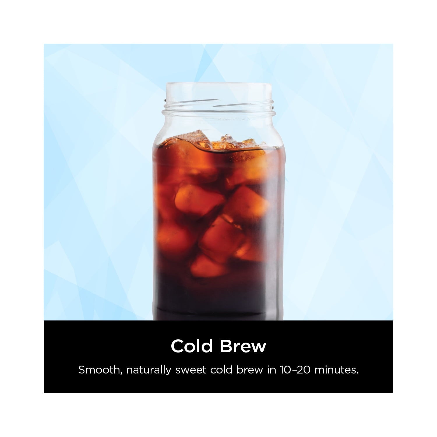 Ninja Hot & Iced 10-Cup Drip Coffee Maker, 4 Brew Styles, Rapid Cold Brew, CM360WM, Black